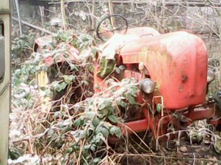 IMG0061A.jpg